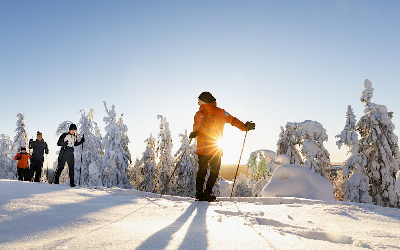 KOLIN HIIHTOKOULU ON VUODEN 2024 HIIHTOKOULU